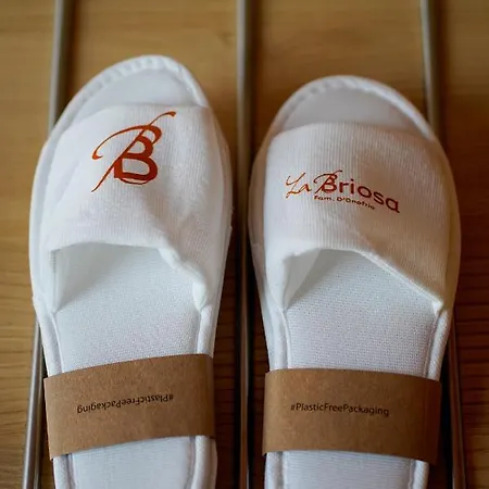La Briosa 4* Больцано