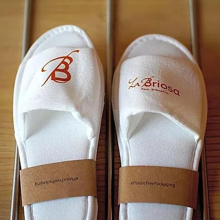 酒店 La Briosa 4*
