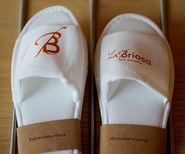 La Briosa 4* Bolzano